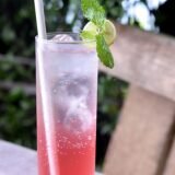 Hibiscus and Berries